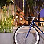 Pure Fix Original Fixed Gear Bike November-2229