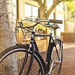 Pure Fix City Classic Bike 8 Speed Bourbon-6353